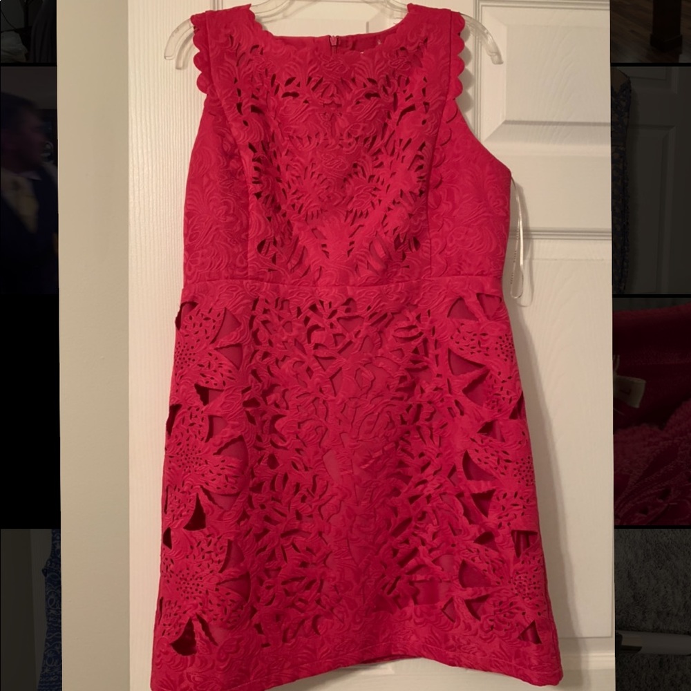 Beautiful Boutique Pink Dress